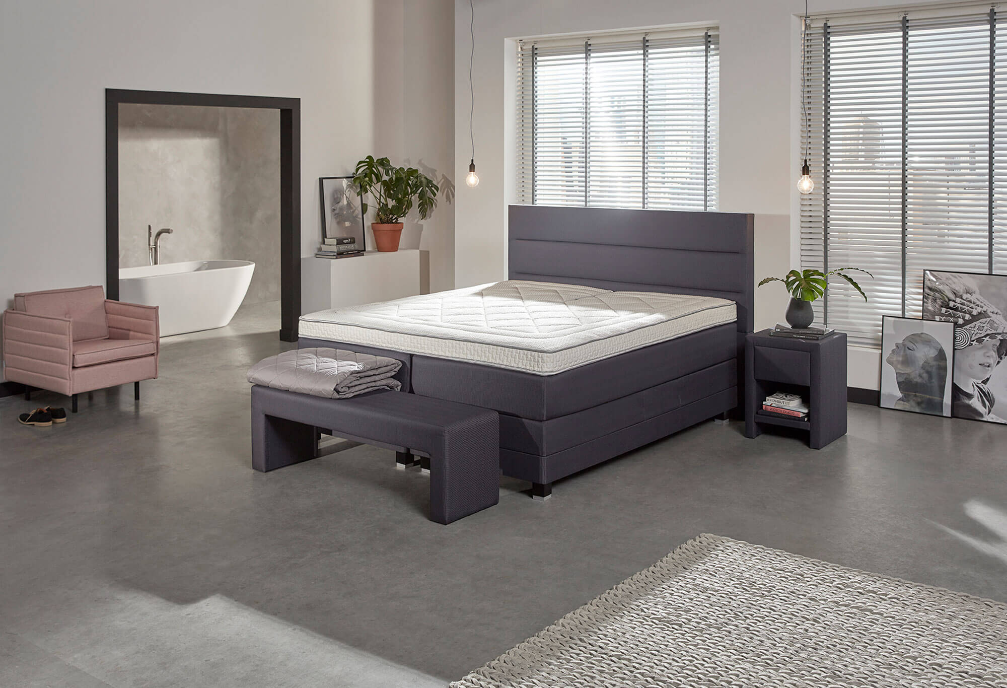 Bruin Boxspring Home 140