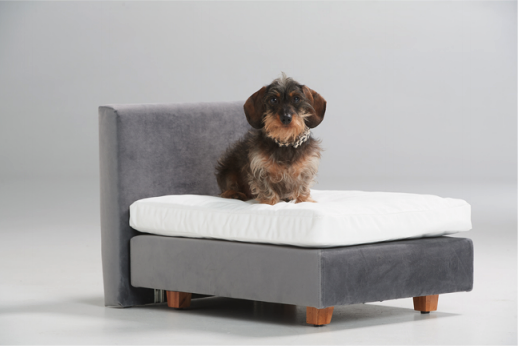 Hondenboxspring Buddy