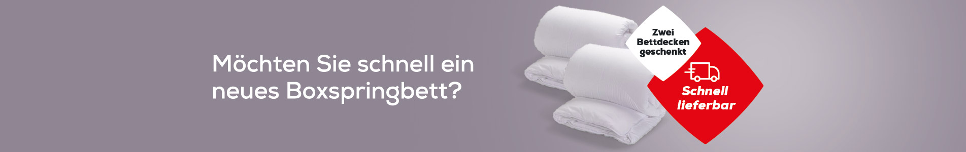 Swiss Sense Aktionen| Swiss Sense