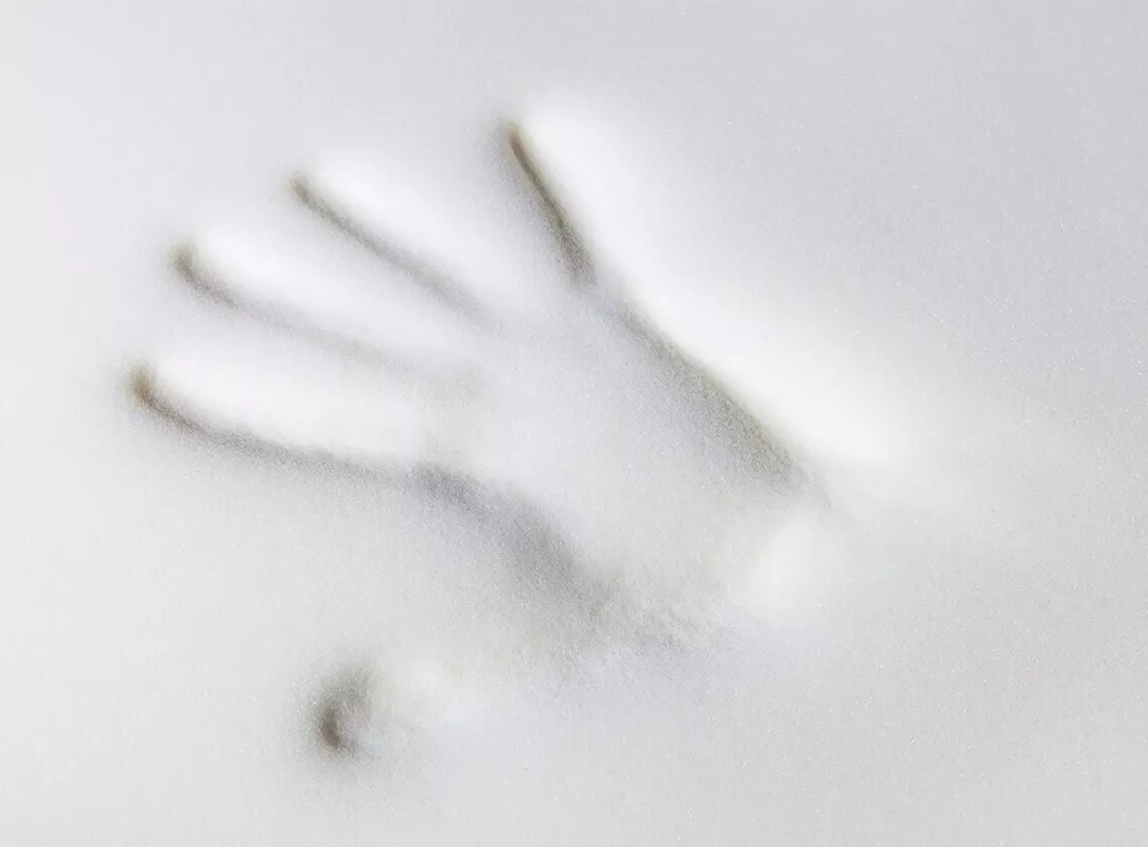 Visco-Topper – druckentlastend & anpassungsfähig